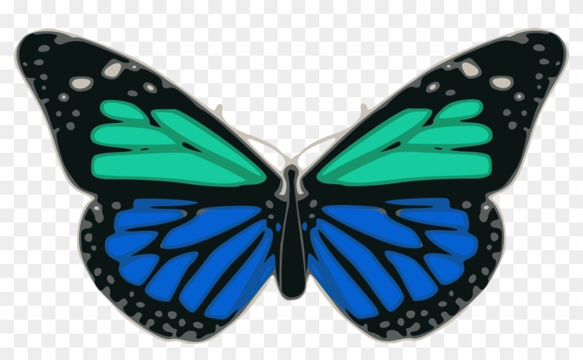 Butterfly 02 Turquoise Blue - Black And Blue Butterfly Shower Curtain #343653