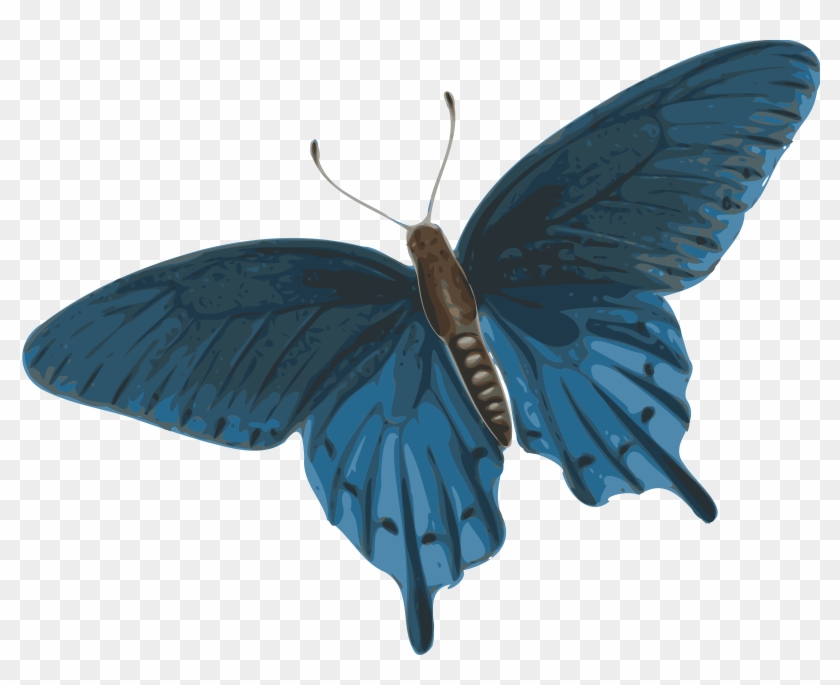 Butterfly Flying Png Gif #343660