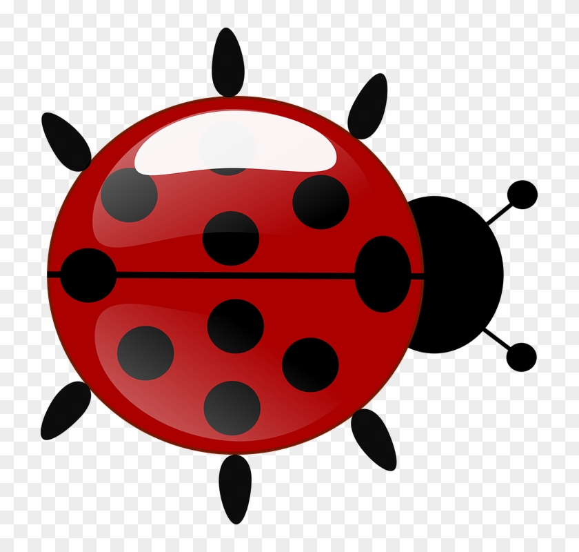 Joaninha Ladybug, HD Png Download - 770x982(#2522069) - PngFind