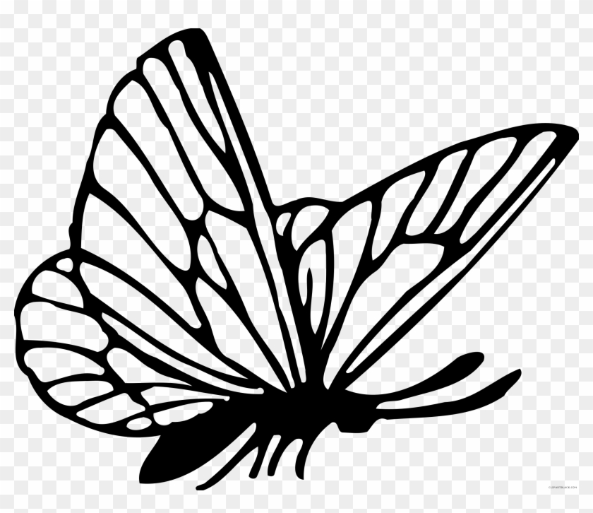 Black And White Butterfly Animal Free Black White Clipart - Kupu Vector #343753