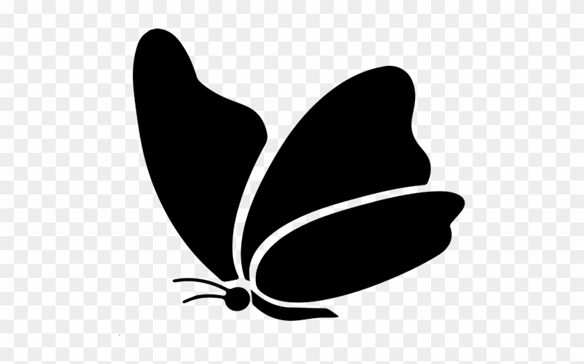 Butterfly #343825