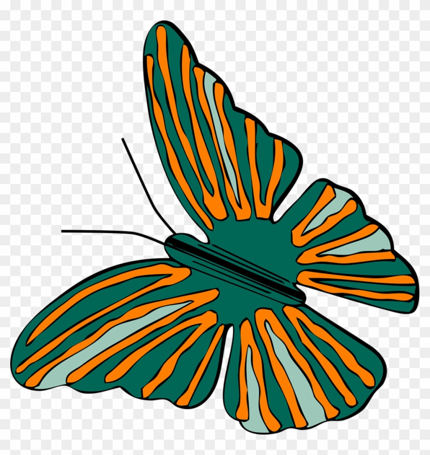 How To Set Use Green And Orange Butterfly Icon Png - Green And Orange Butterfly #343908