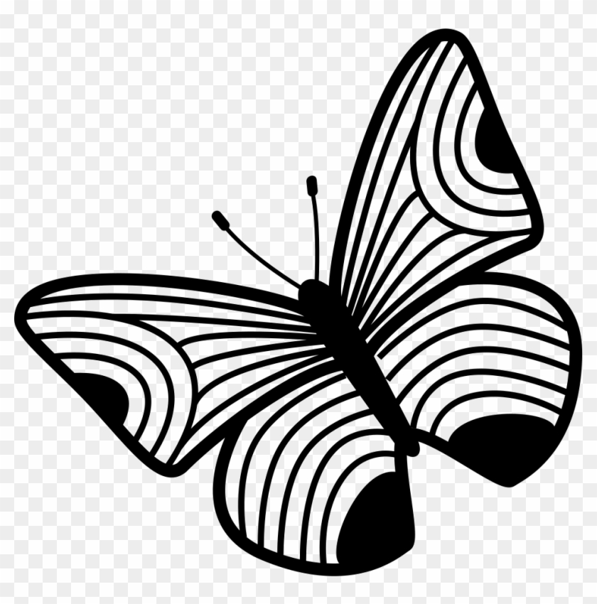 Butterfly Design Of Thin Stripes Wings Comments - Design #343926
