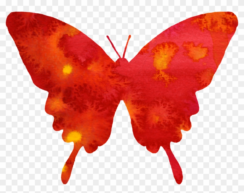 Real Butterfly Cliparts - Watercolor Butterfly Vector Png #343934