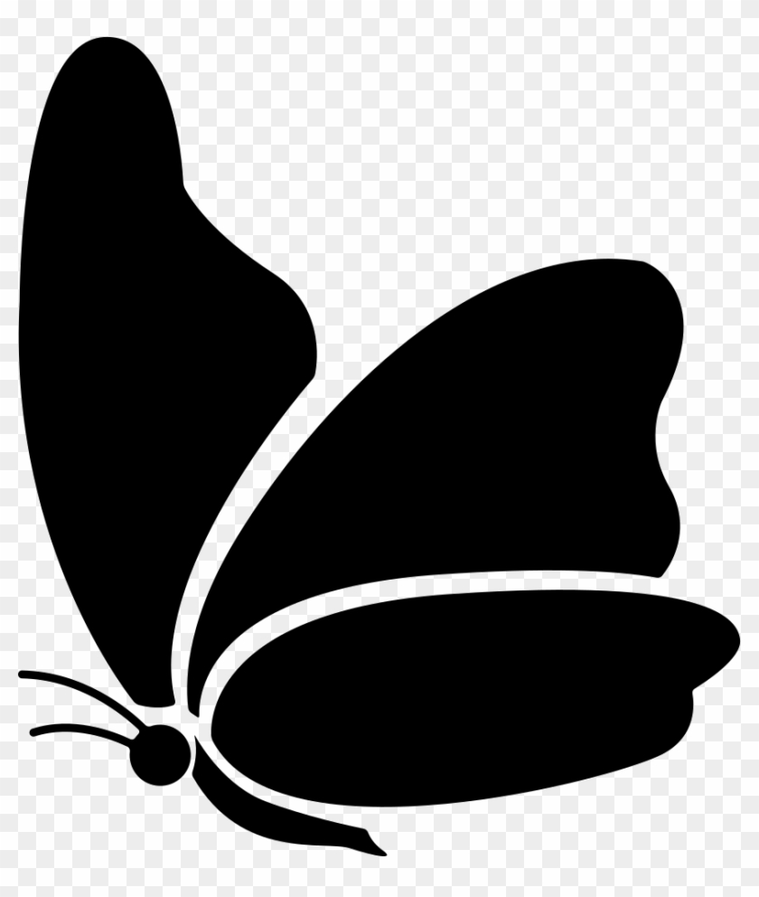 Big Wing Butterfly Comments Butterfly Icon Free Transparent