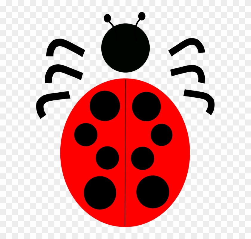 Drawn Lady Beetle June Bug - Scarabaeoidea #344156