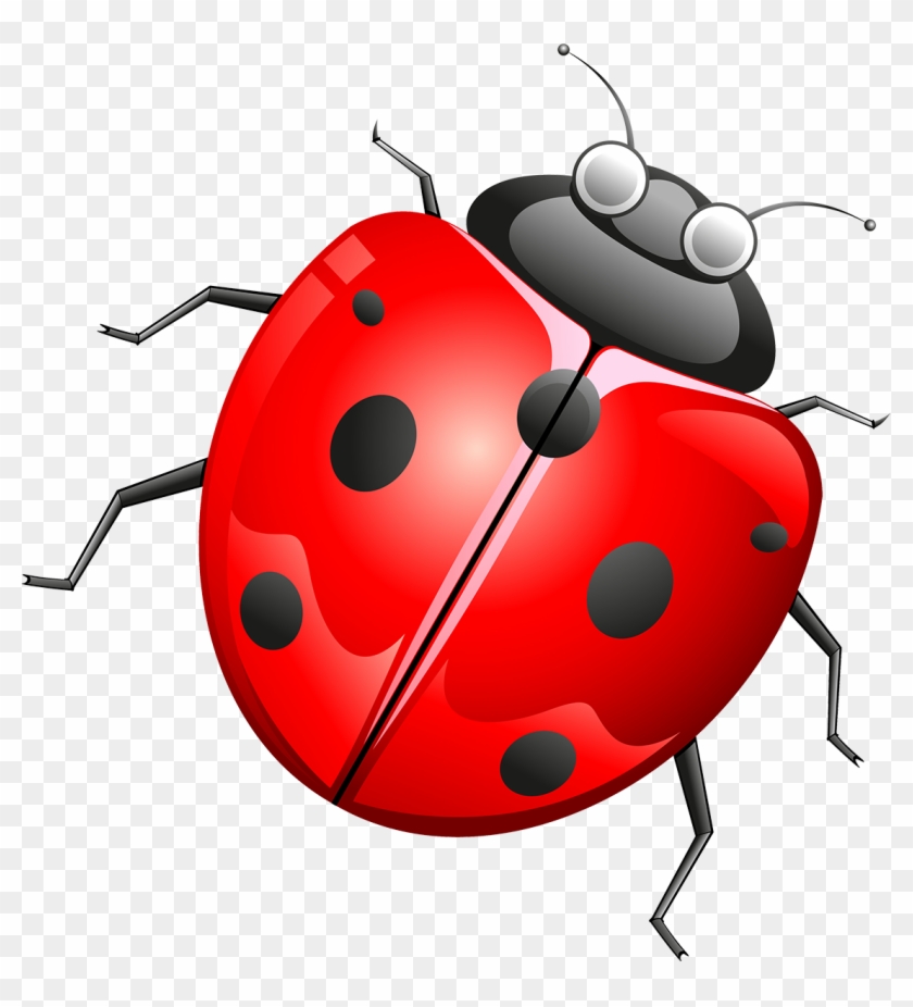 Beetle Cartoon Technology Clip Art - Beetle Cartoon Technology Clip Art #344212