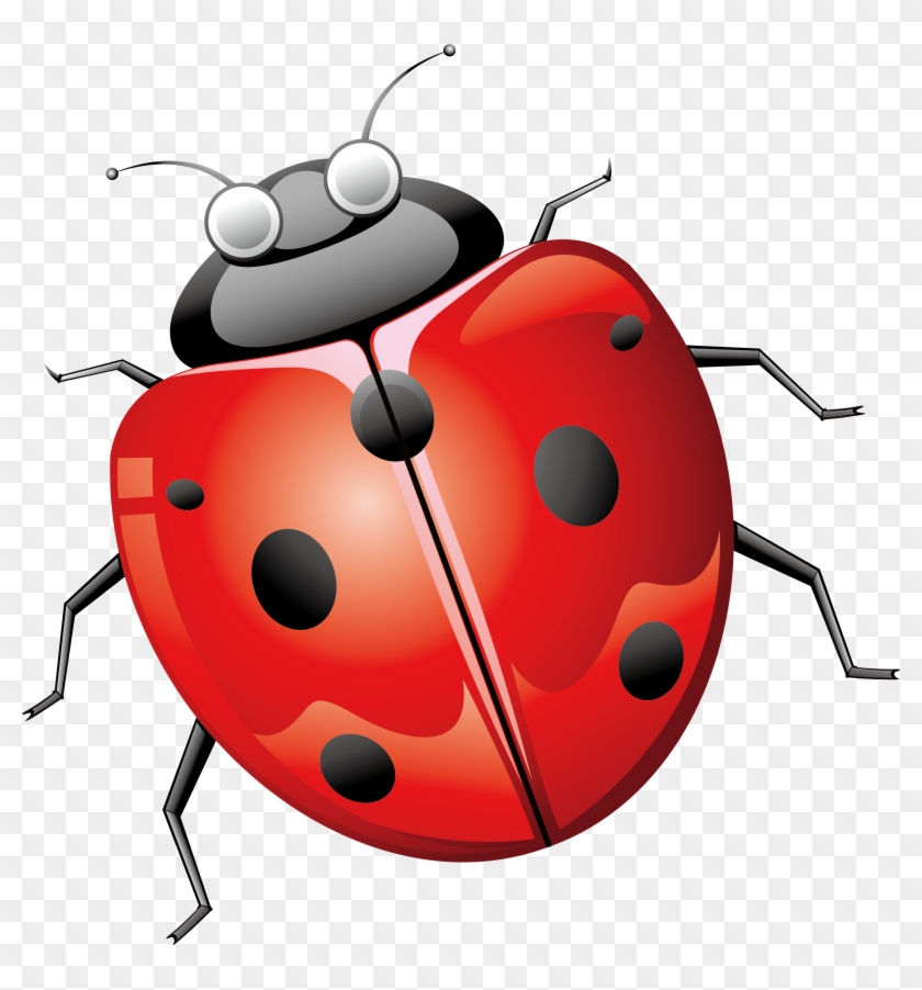 Ladybird Beetle Euclidean Vector - Lady Bug Png #344297