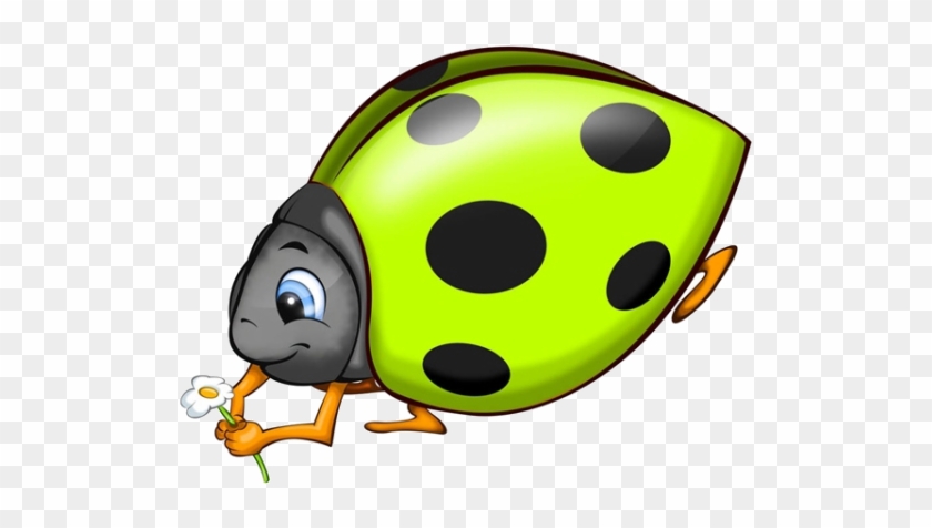 Beetle Ladybird Cartoon Illustration - Beetle Ladybird Cartoon Illustration #344336