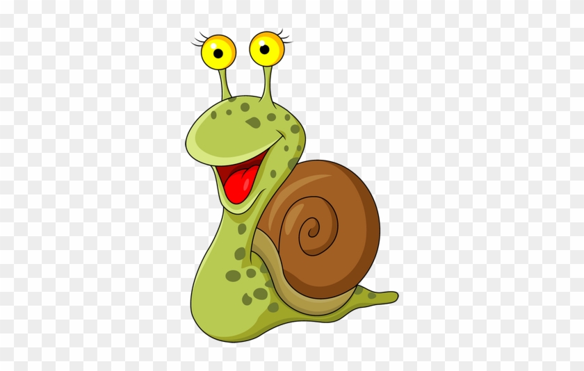 Funny Snail And Turtle Cartoon - Cartoon Snail #344491