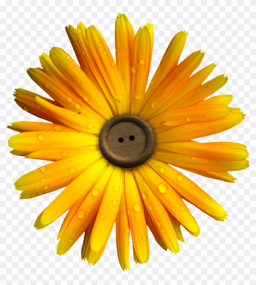 Flower Yellow Clip Art - Flower Yellow Clip Art #345030