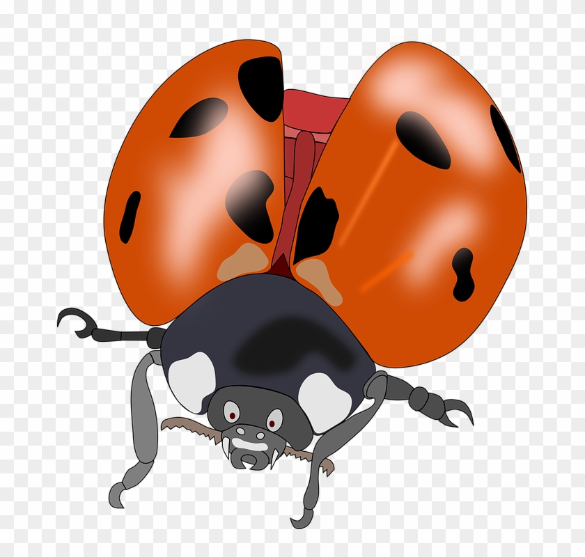 Lady Bug Cartoon 26, Buy Clip Art - การ์ตูน ด้วง #345395