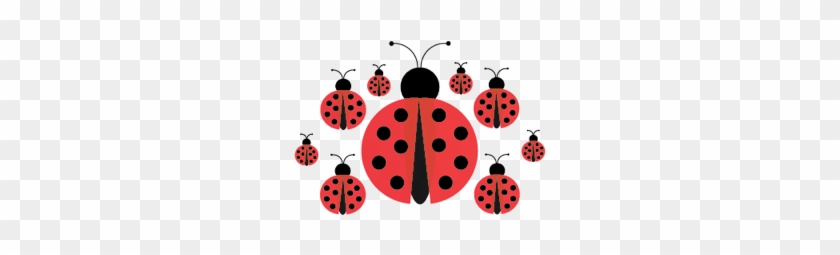 Image - Ladybug #345405