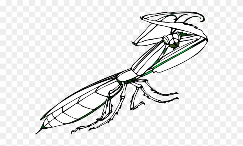 Praying Mantis Clip Art - Mantis Religiosa En Blanco Y Negro #345822