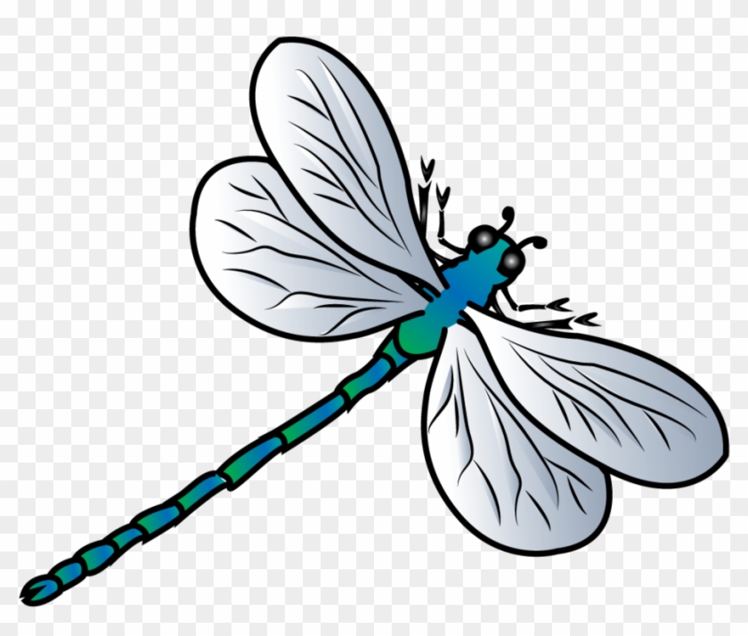 Dragonfly Vector By Jscollon On Deviantart - Clipart Dragonfly Png #346124