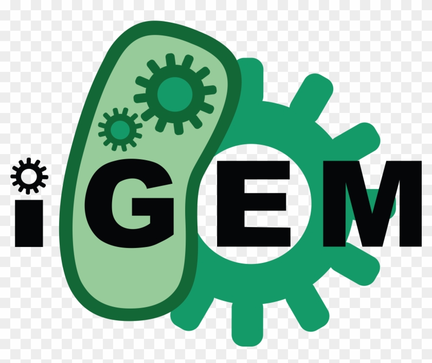 Logo - Igem 2018 #346617