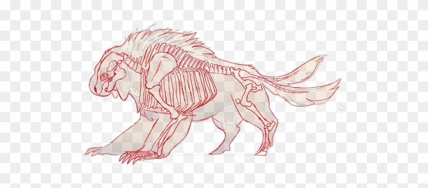 Terminology - - Sketch #346712