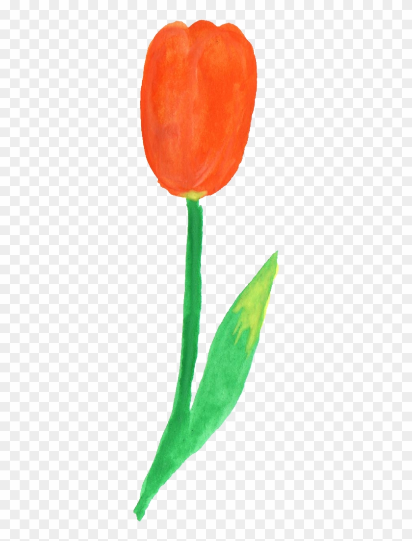 Png File Size - Tulip #346999
