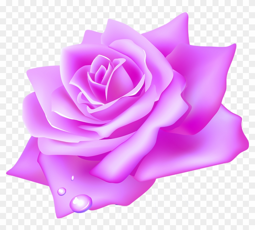 Garden Roses Flower Clip Art - Garden Roses Flower Clip Art #347073