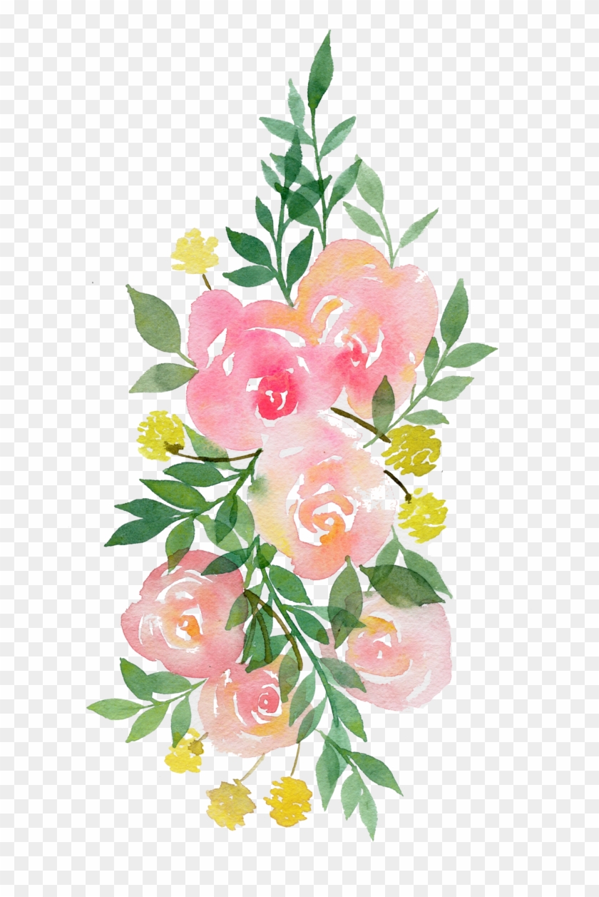 Peonies, Drawing, - Transparent Watercolor Flowers #347146
