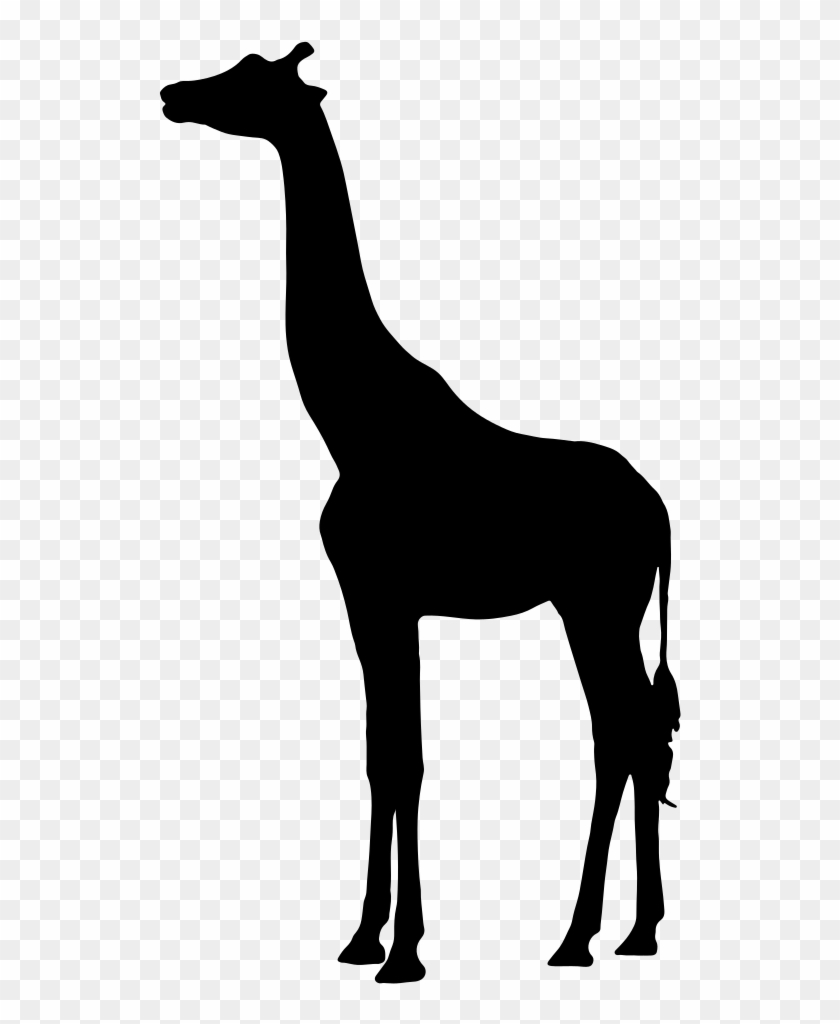 Giraffe Silhouette Onlinelabels Clip Art Giraffe Silhouette - Silhouette Of A Giraffe #347162