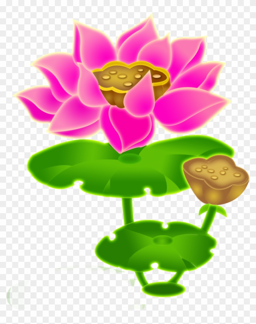 Nelumbo Nucifera Budaya Tionghoa Lotus Root Lotus Effect - Nelumbo Nucifera Budaya Tionghoa Lotus Root Lotus Effect #347448