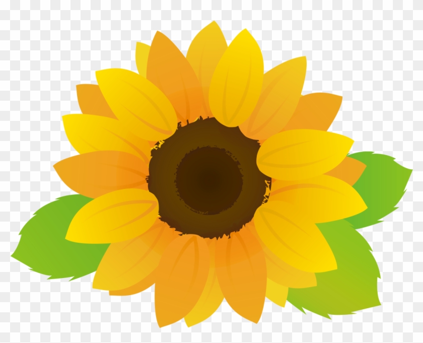 大きなひまわりの花 - Sunflower #347513