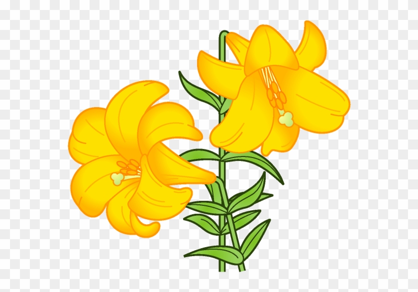 百合の花イラスト（黄色） - 6 月 花 イラスト 無料 #347521