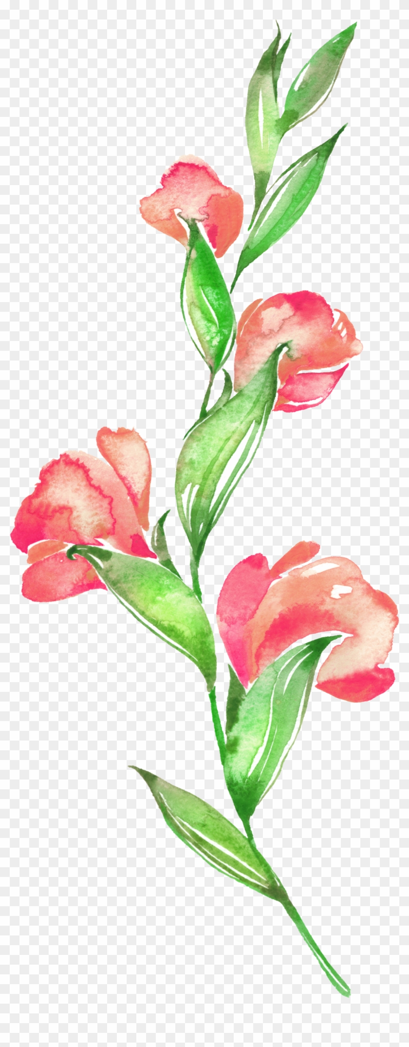 Floral Design Flower Watercolor Painting - Floral Design Flower Watercolor Painting #348005