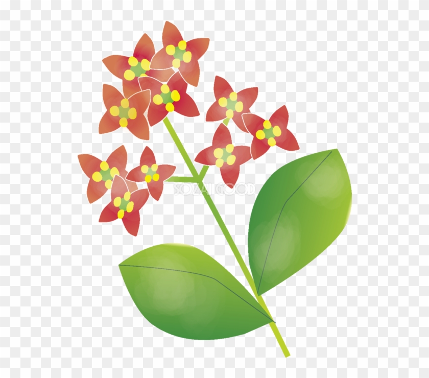 青木 の花無料イラスト 春3 4月 Illustration Free Transparent Png Clipart Images Download