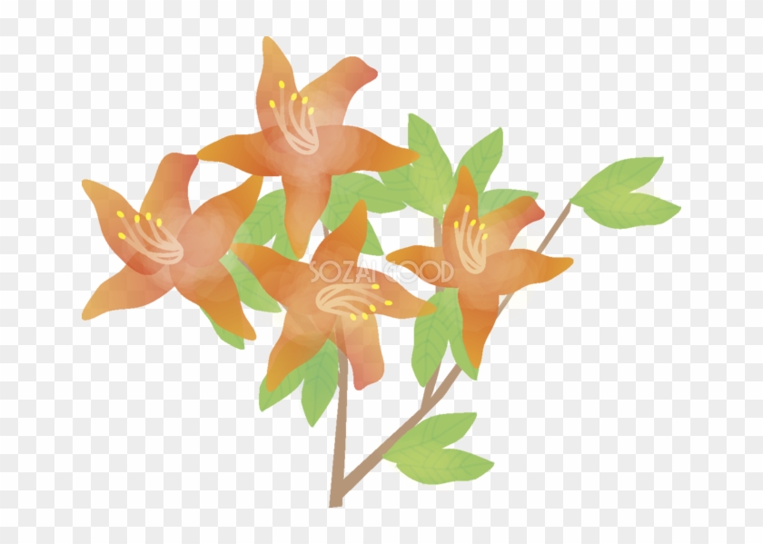 蓮華躑躅 花の無料イラスト 春 4月 5月 Qantu Free Transparent Png Clipart Images Download