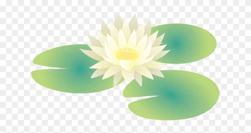 夏の花3 05 スイレンイラスト Illustration Free Transparent Png