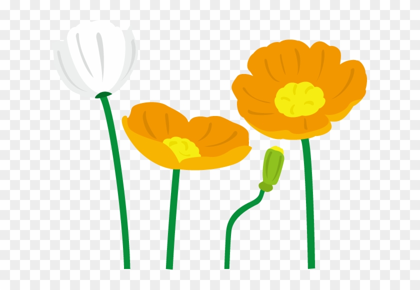 春の花1 03 ポピーイラスト 花 ポピー イラスト Free Transparent Png Clipart Images Download