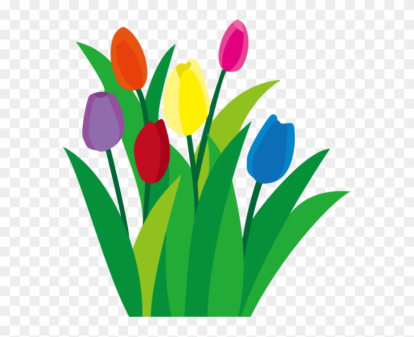 定番の花1 03 チューリップイラスト - Sprenger's Tulip #347616