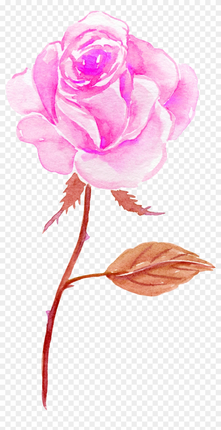 Flower Watercolor Painting - Flower Watercolor Painting #348207