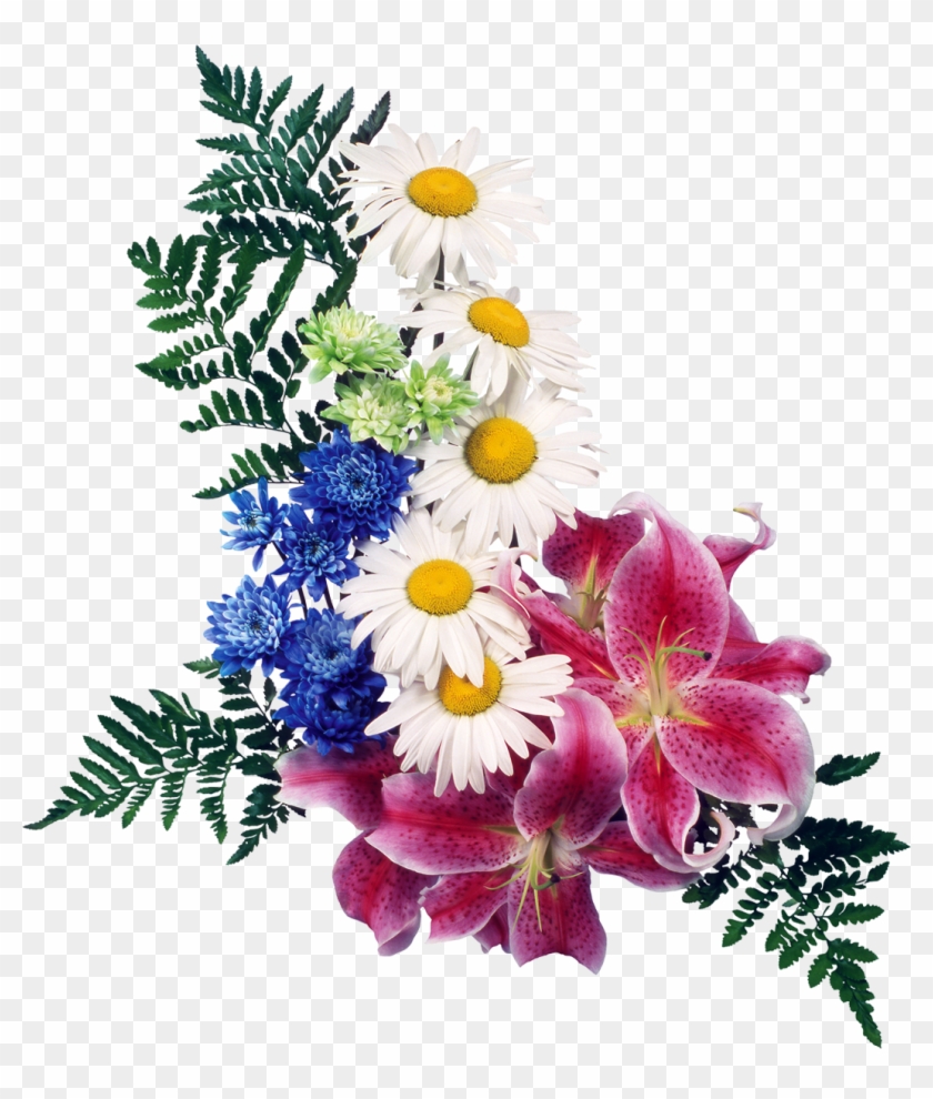 Flower Lilium Clip Art - Flower Lilium Clip Art #348281