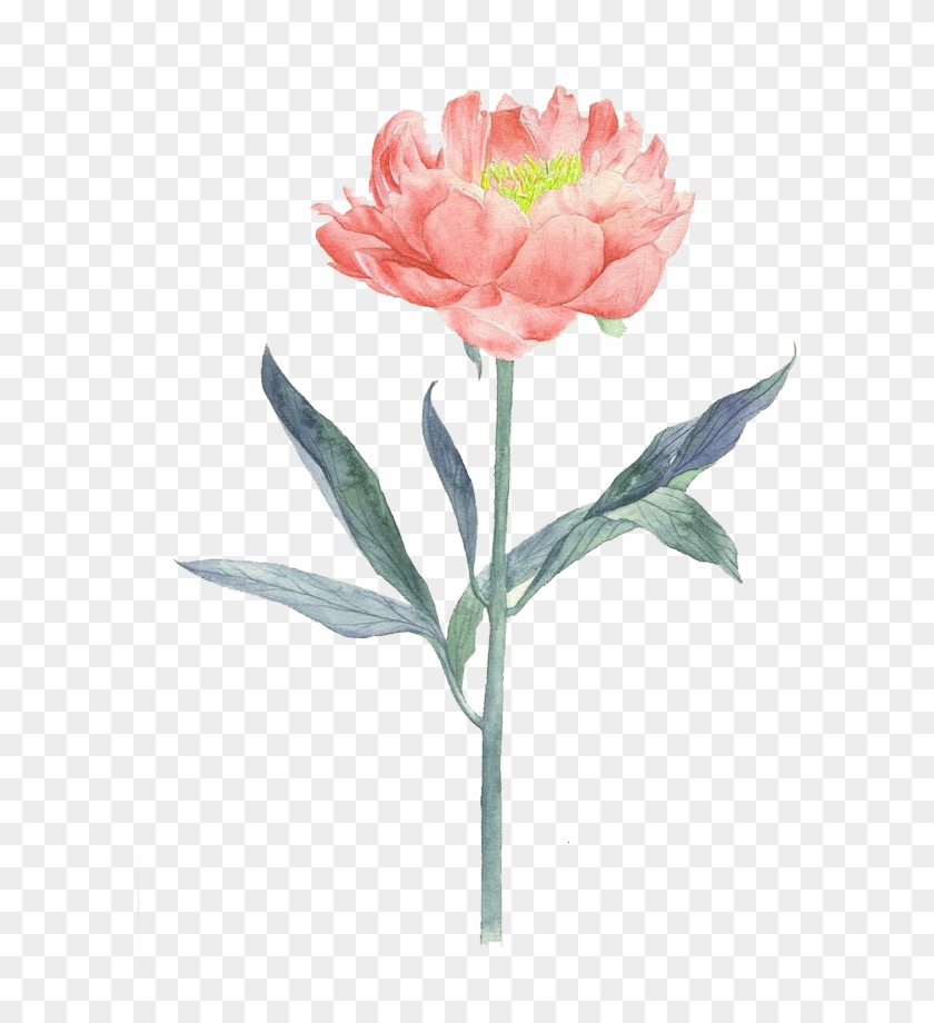Flower Painting Illustration - Flower Painting Illustration #348685
