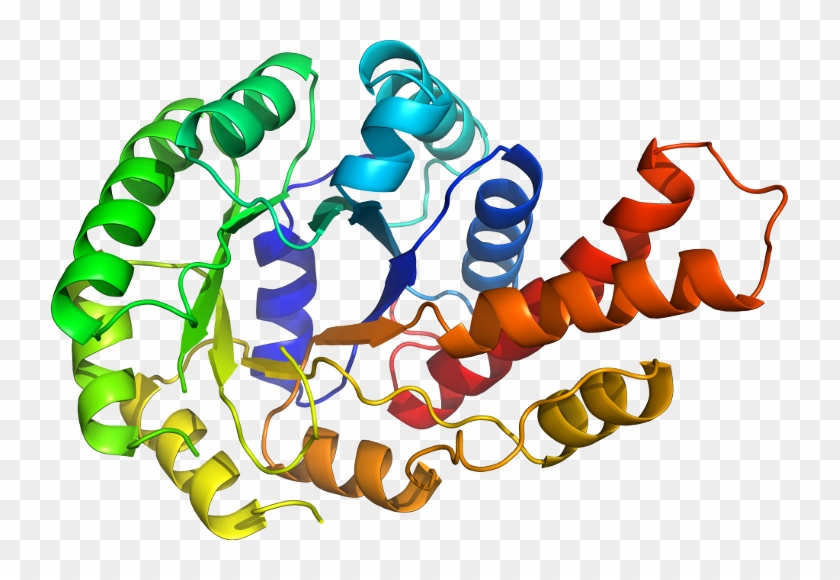 D5ud0a In Context Of Chain - Parp 1 #348436