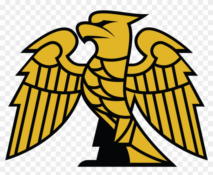 Hafsa - Parrot #348609