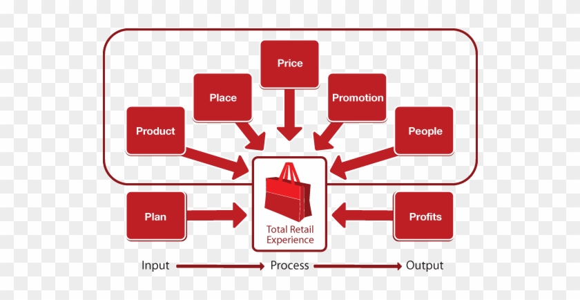Our Retail Education Model™ Supports The Dynamic Nature - Retail Models #348650