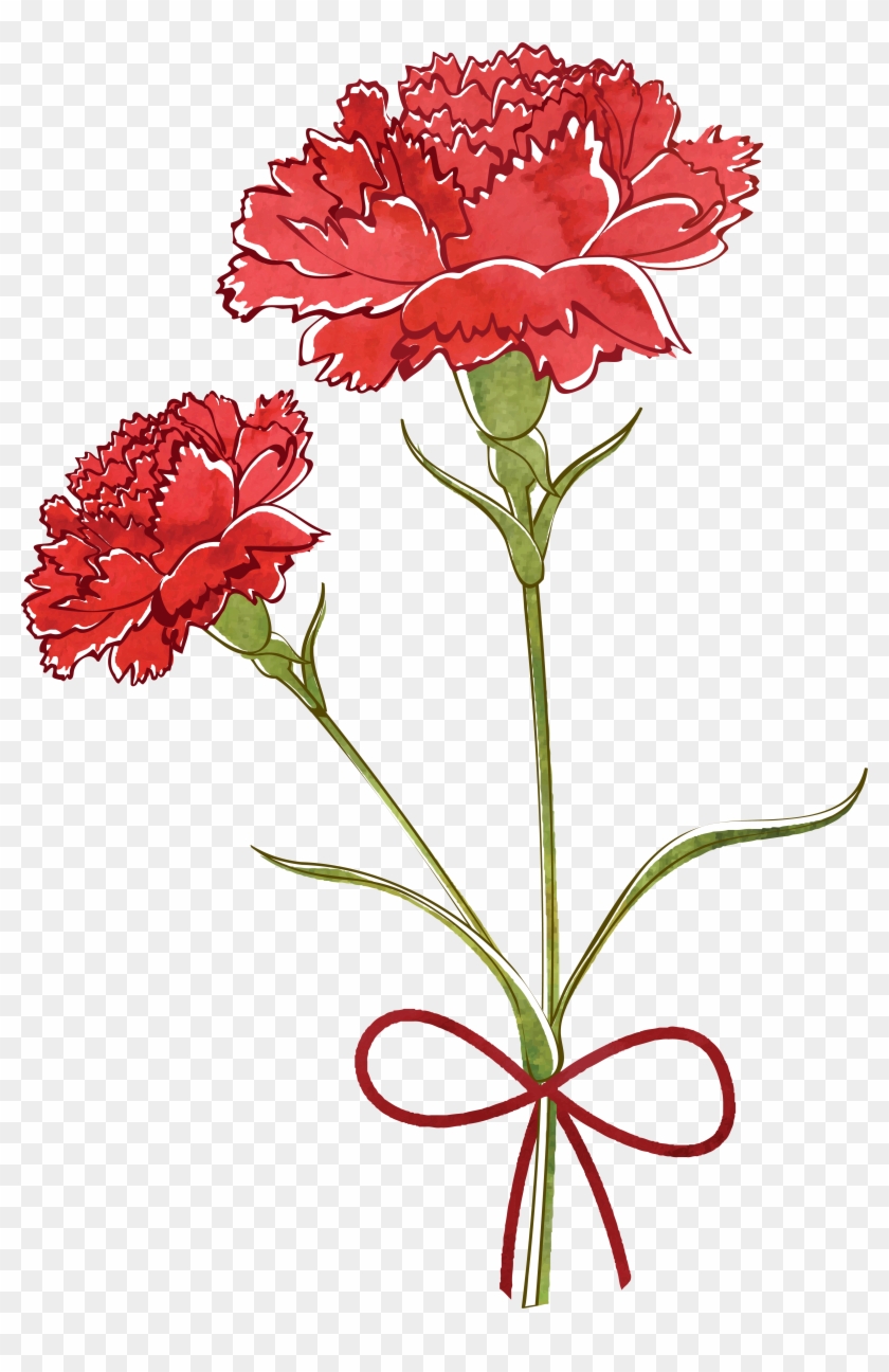 Update more than 76 carnation flower sketch best - in.eteachers