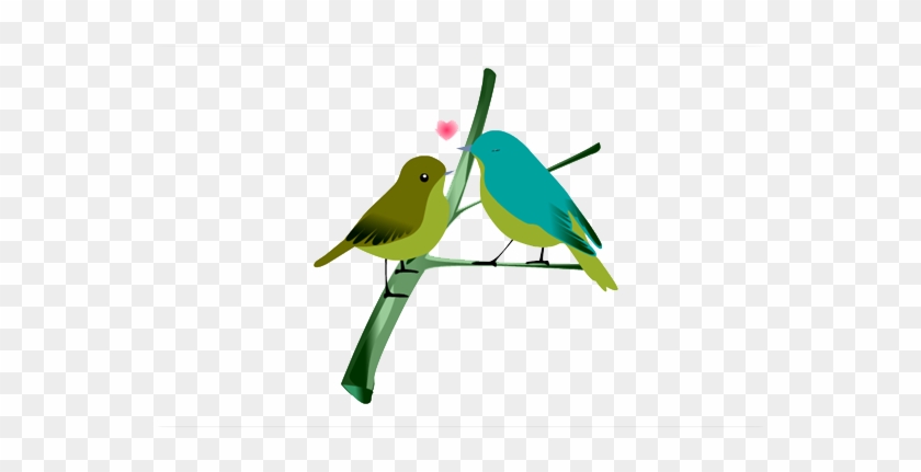 Love Birds Transparent - Jeo Aur Jeene Do #349026