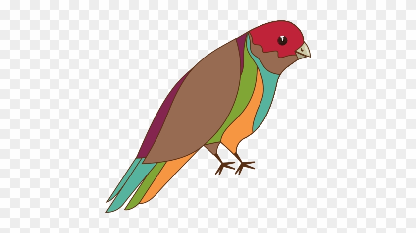 Bird Animal Cartoon - Vector Graphics #349031
