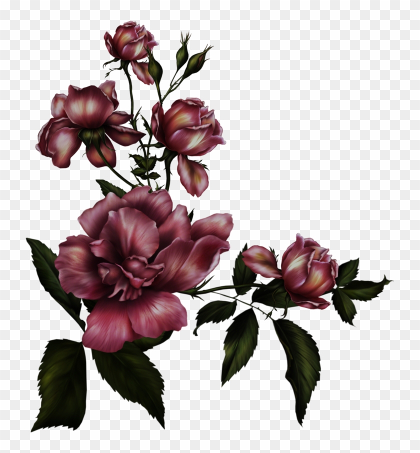 Gothic Rose Transparent Background - Gothic Flower #349042