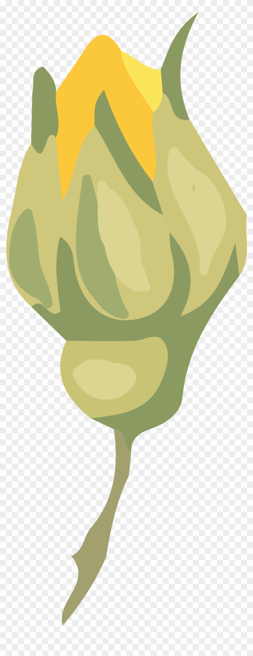 Flower Watercolor Painting - Flower Watercolor Painting #349122