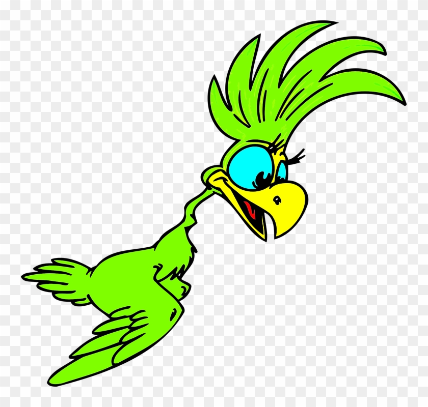 Bird Cartoon - Cartoon Parrot #349116