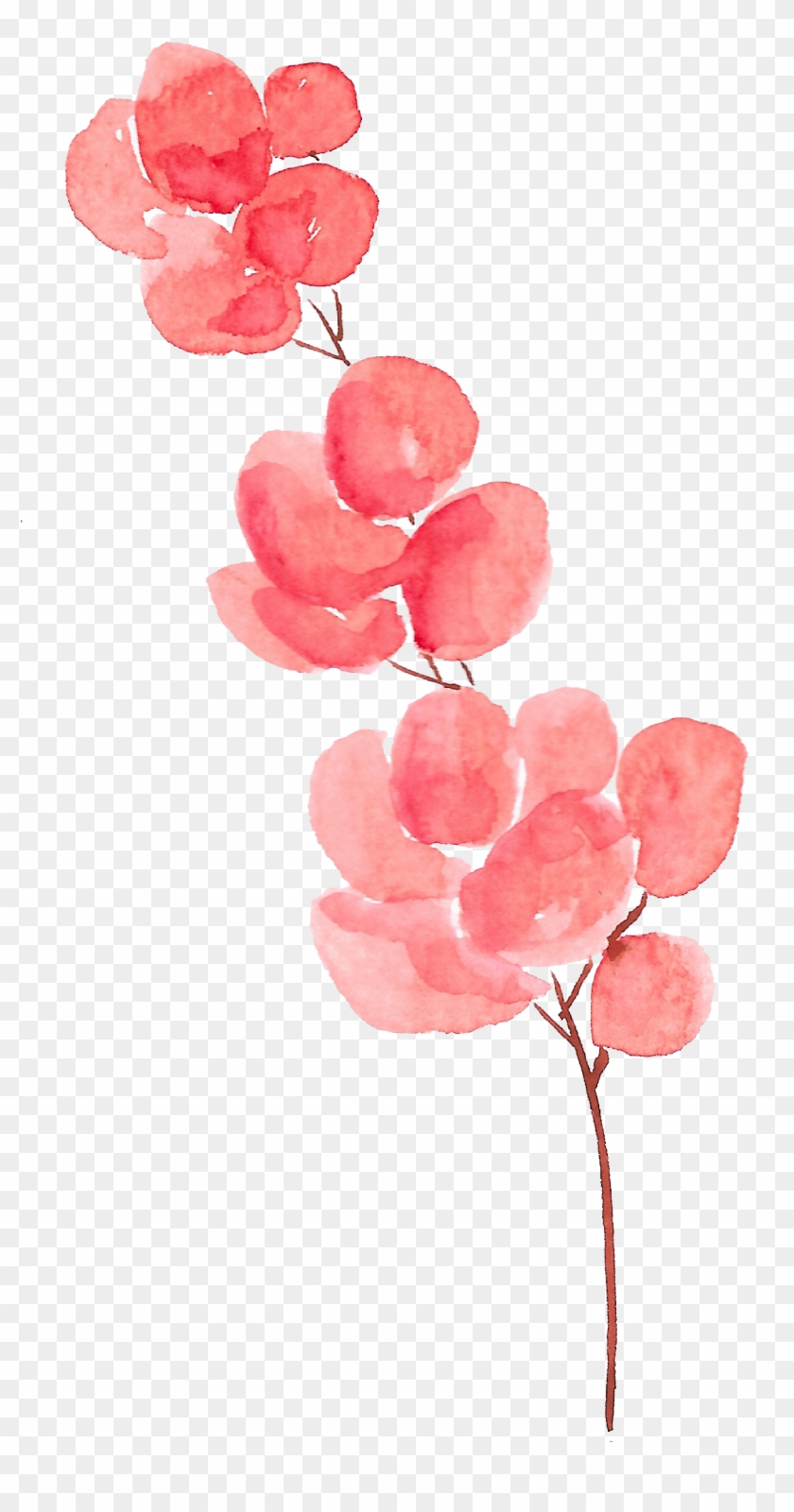 Petal Flower Watercolor Painting - Watercolor Flowers Transparent Background Flowers Png #349159