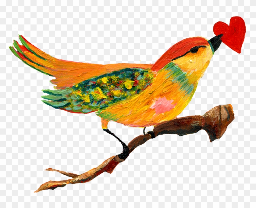 Bird Heart - Photo - Bird Heart - Photo #349164