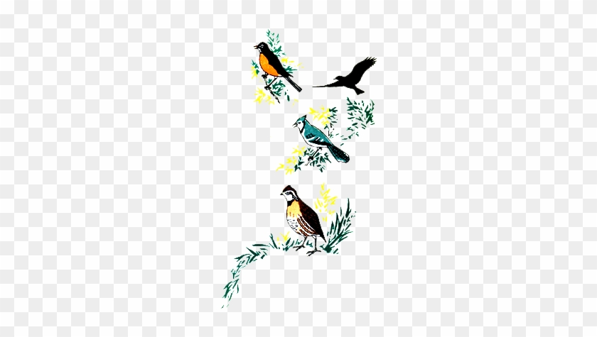 Bird Lore Puzzle Jingle - Finch #349177