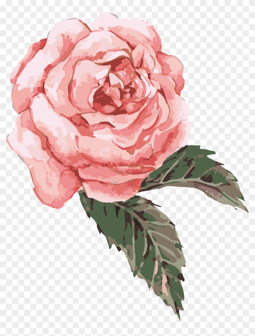 Flower Watercolor Painting Clip Art - Pink Watercolor Rose Png #349272